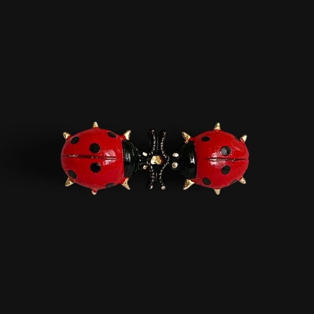 Vintage twin ladybugs brooch